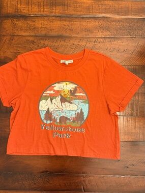 Love & Lazy Days Yellowstone Park Graphic Crop T Shirt Womens Small Boho Tee